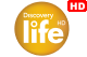 364 Discovery Life HD